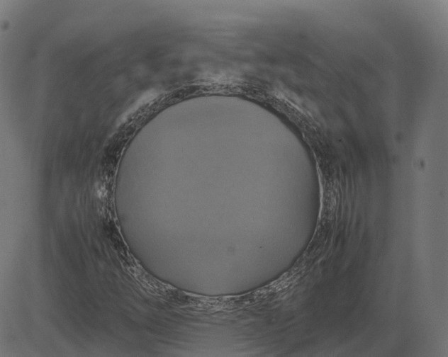 X0000082691254200702091648