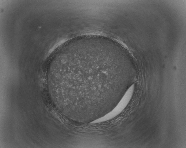 X0000082691255200702091648