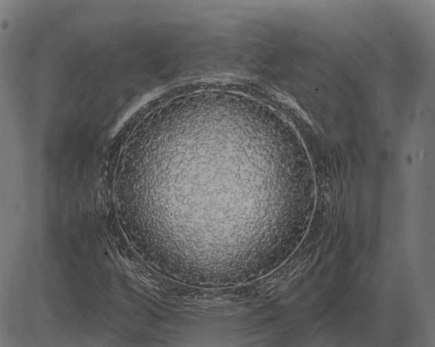 X0000082691256200702091648