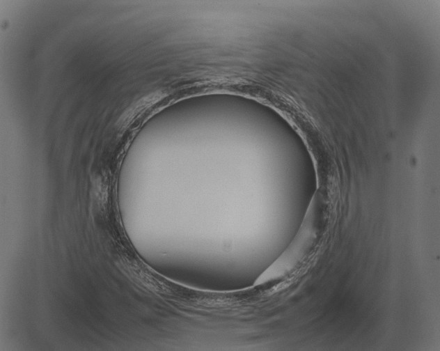 X0000082691257200702091648