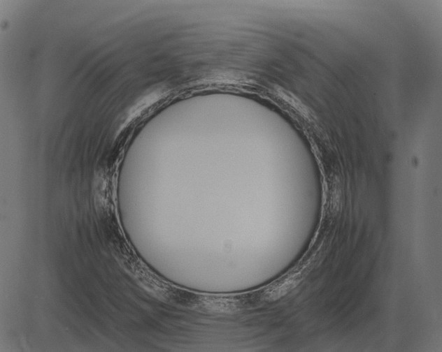 X0000082691258200702091648