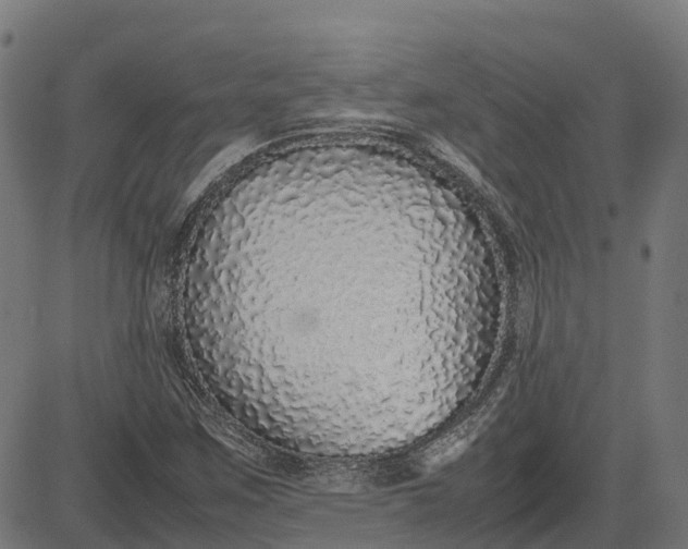 X0000082691259200702091648