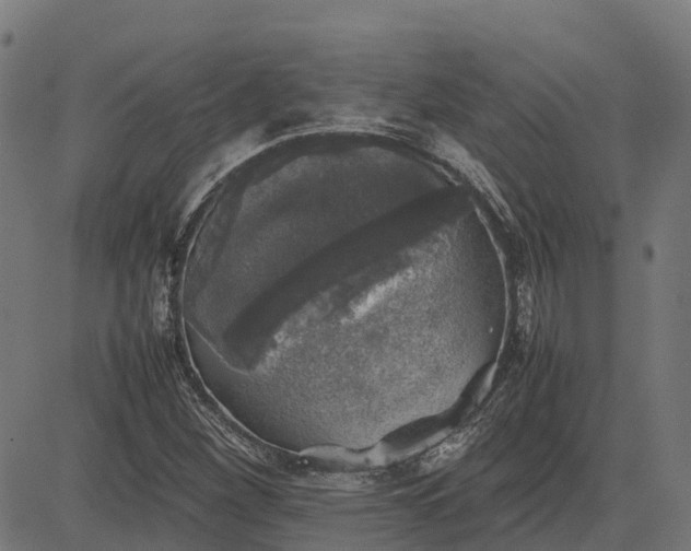 X0000082691260200702091648