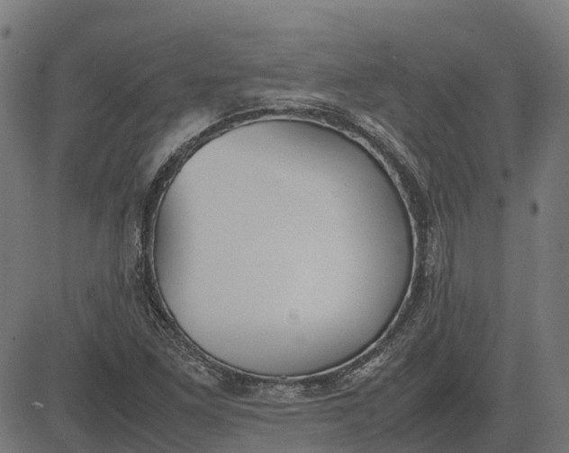 X0000082691261200702091648