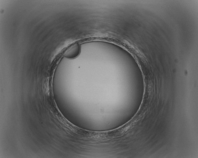 X0000082691262200702091648