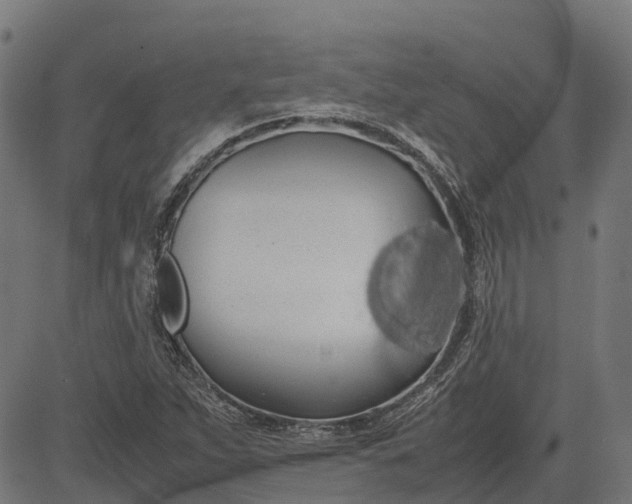 X0000082691263200702091648