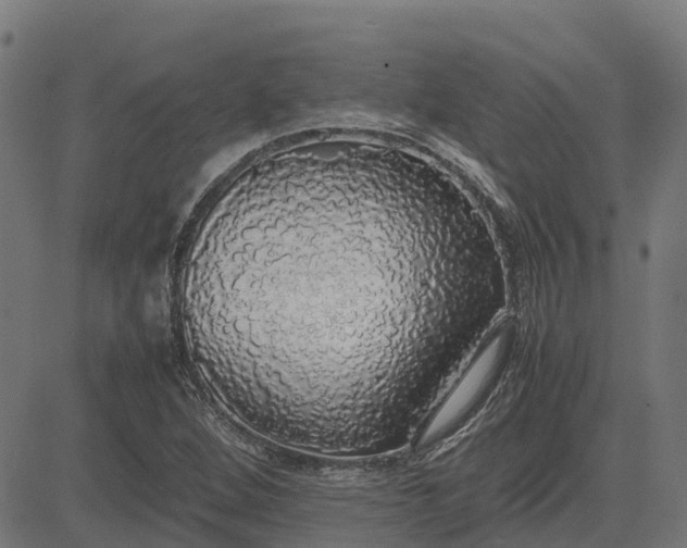 X0000082691264200702091648