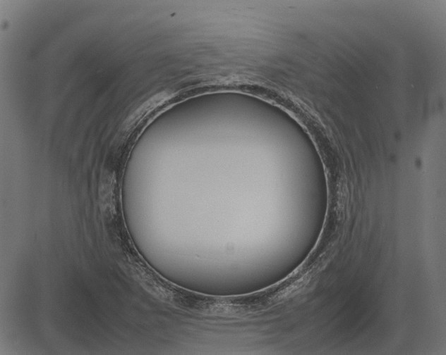 X0000082691265200702091648