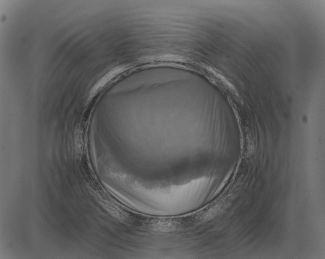 X0000082691266200702091648