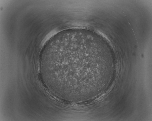 X0000082691267200702091648