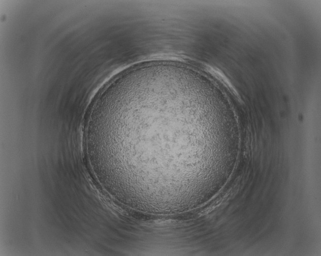 X0000082691268200702091648