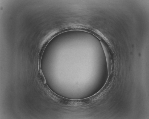 X0000082691269200702091648