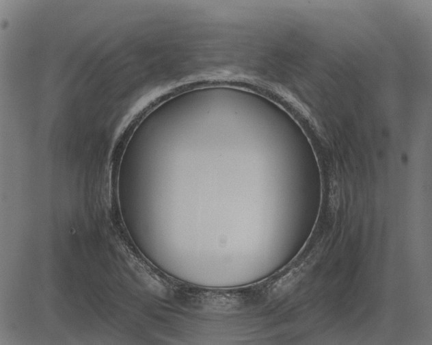 X0000082691270200702091648