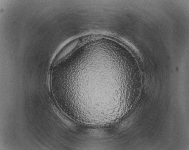 X0000082691272200702091648