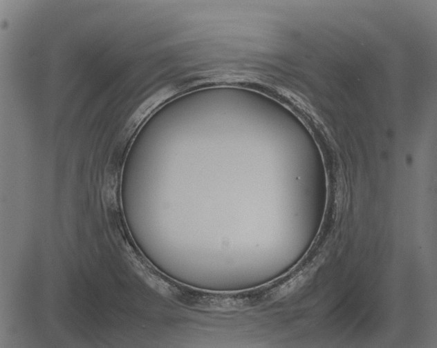 X0000082691273200702091648