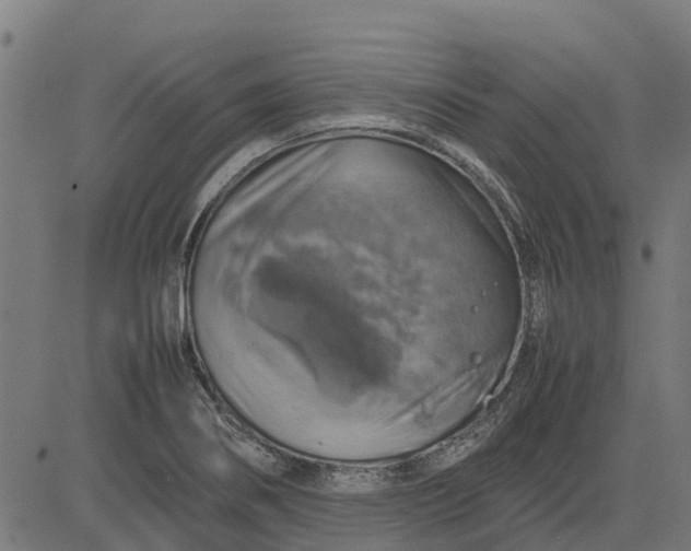 X0000082691274200702091648