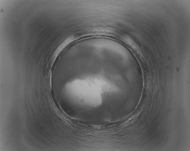 X0000082691275200702091648