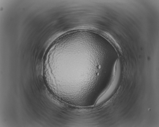 X0000082691276200702091648