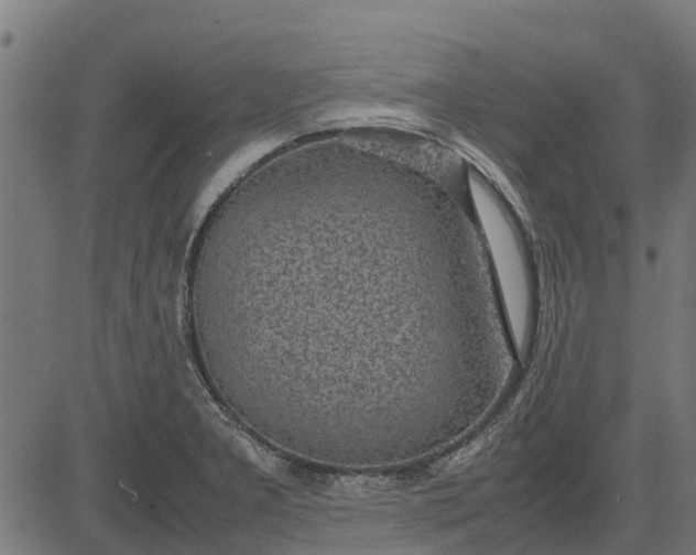 X0000082691277200702091648