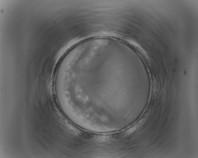 X0000082691278200702091648