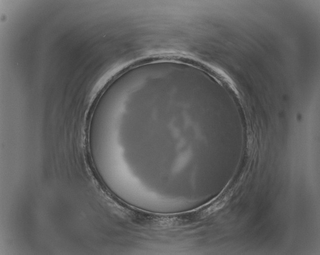 X0000082691279200702091648