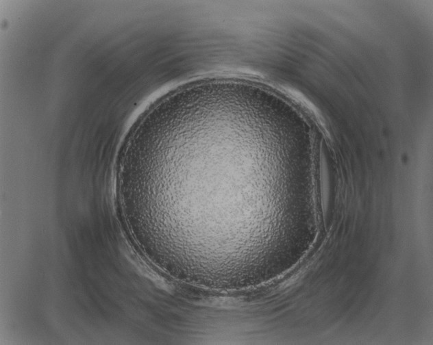 X0000082691280200702091648