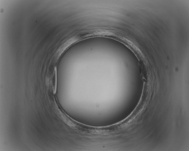 X0000082691281200702091648