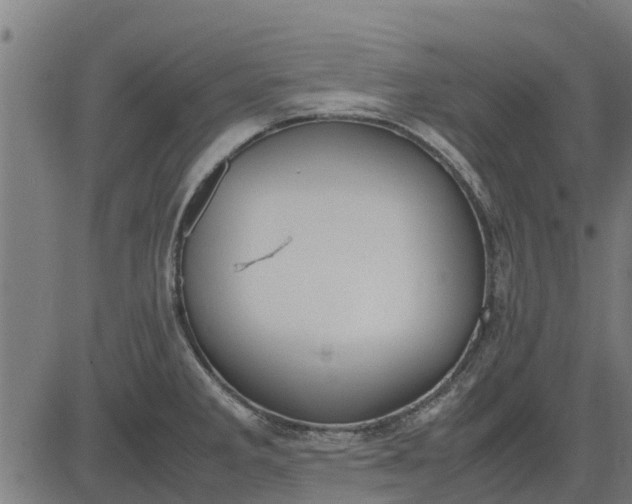 X0000082691285200702091648