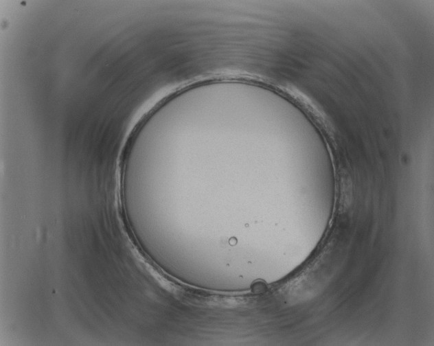 X0000082691286200702091648