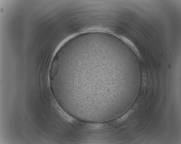 X0000082691288200702091648