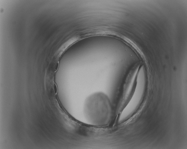 X0000082691289200702091648