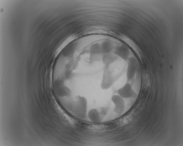 X0000082691290200702091648