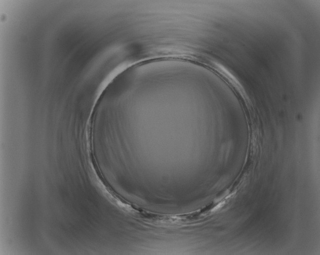 X0000082691291200702091648