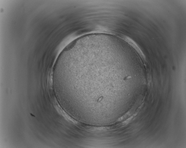 X0000082691292200702091648