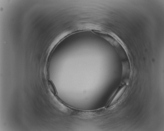 X0000082691293200702091648