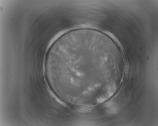 X0000082691294200702091648