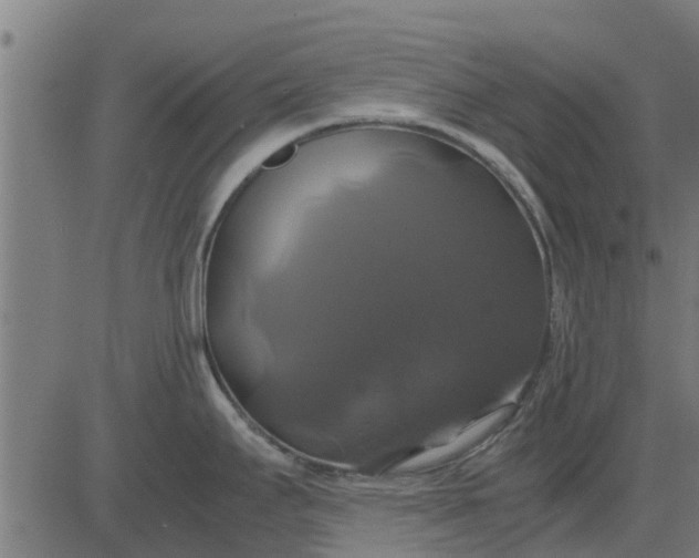 X0000082691295200702091648