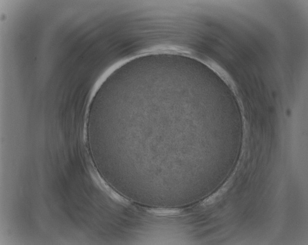 X0000082691296200702091648