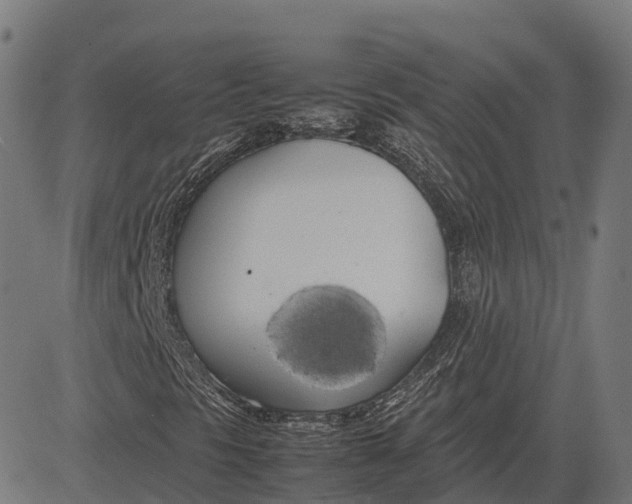 X0000082691297200702091647