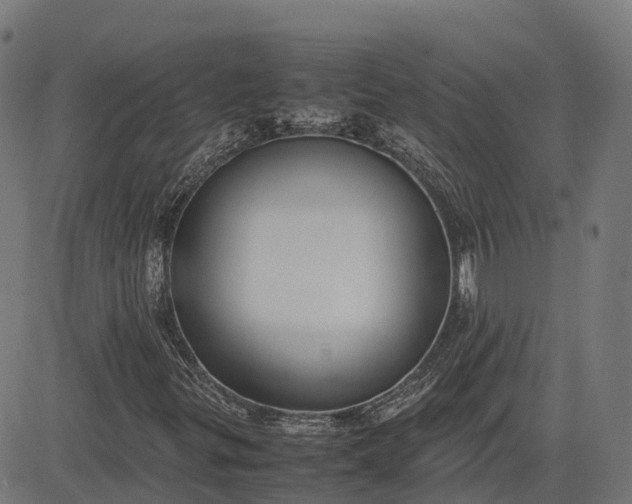 X0000082691299200702091647