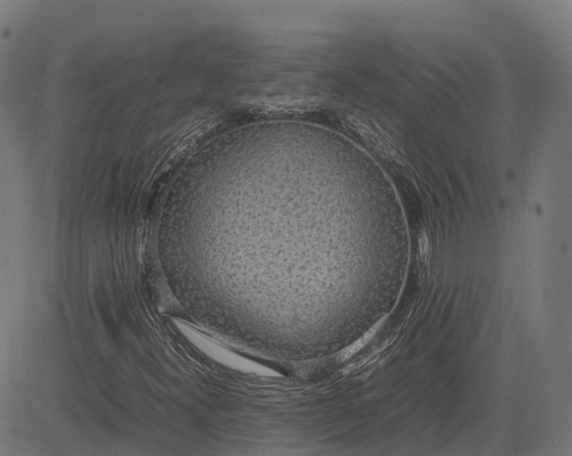 X0000082691300200702091647