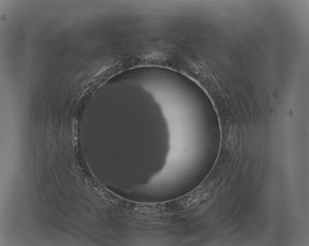 X0000082691301200702091647