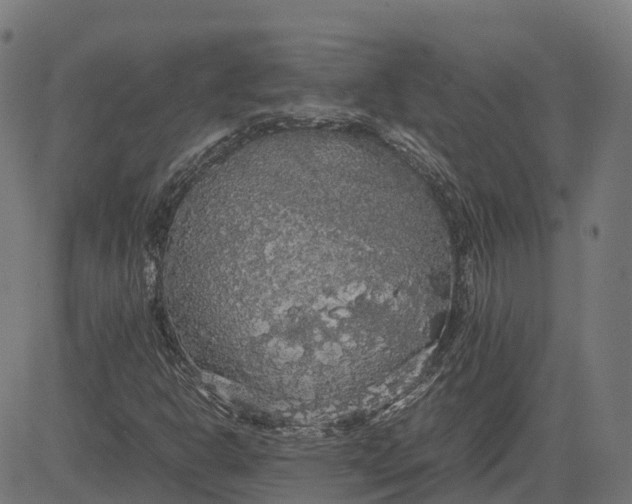 X0000082691302200702091647