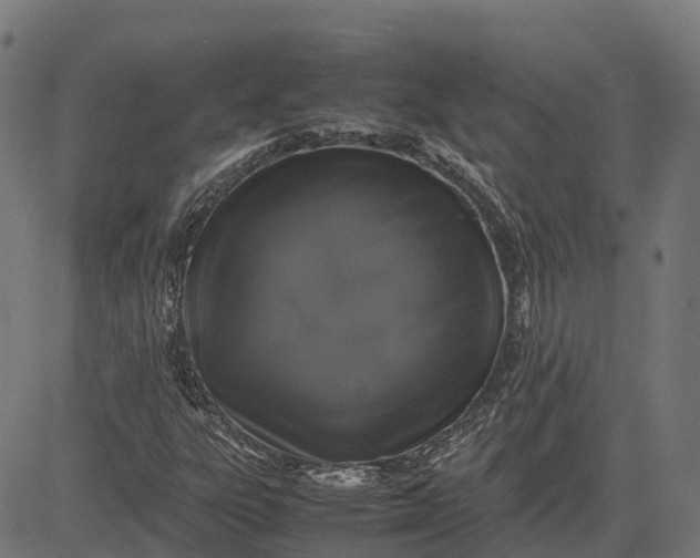 X0000082691303200702091647