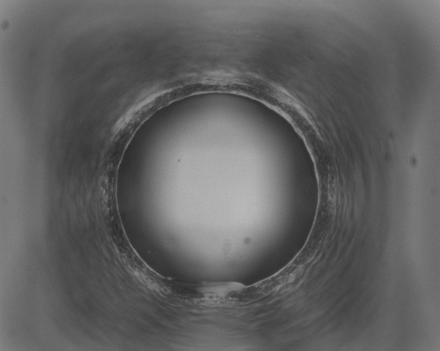 X0000082691304200702091647