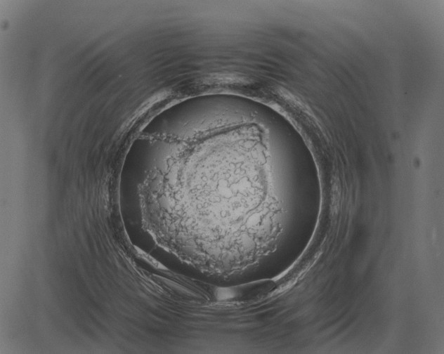 X0000082691305200702091647