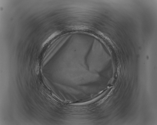 X0000082691306200702091647