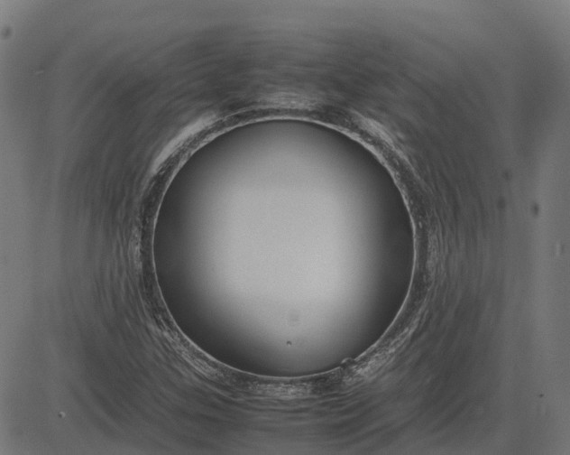 X0000082691307200702091647