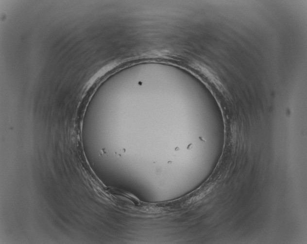 X0000082691308200702091647