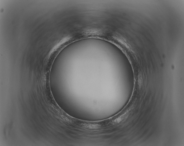 X0000082691309200702091647